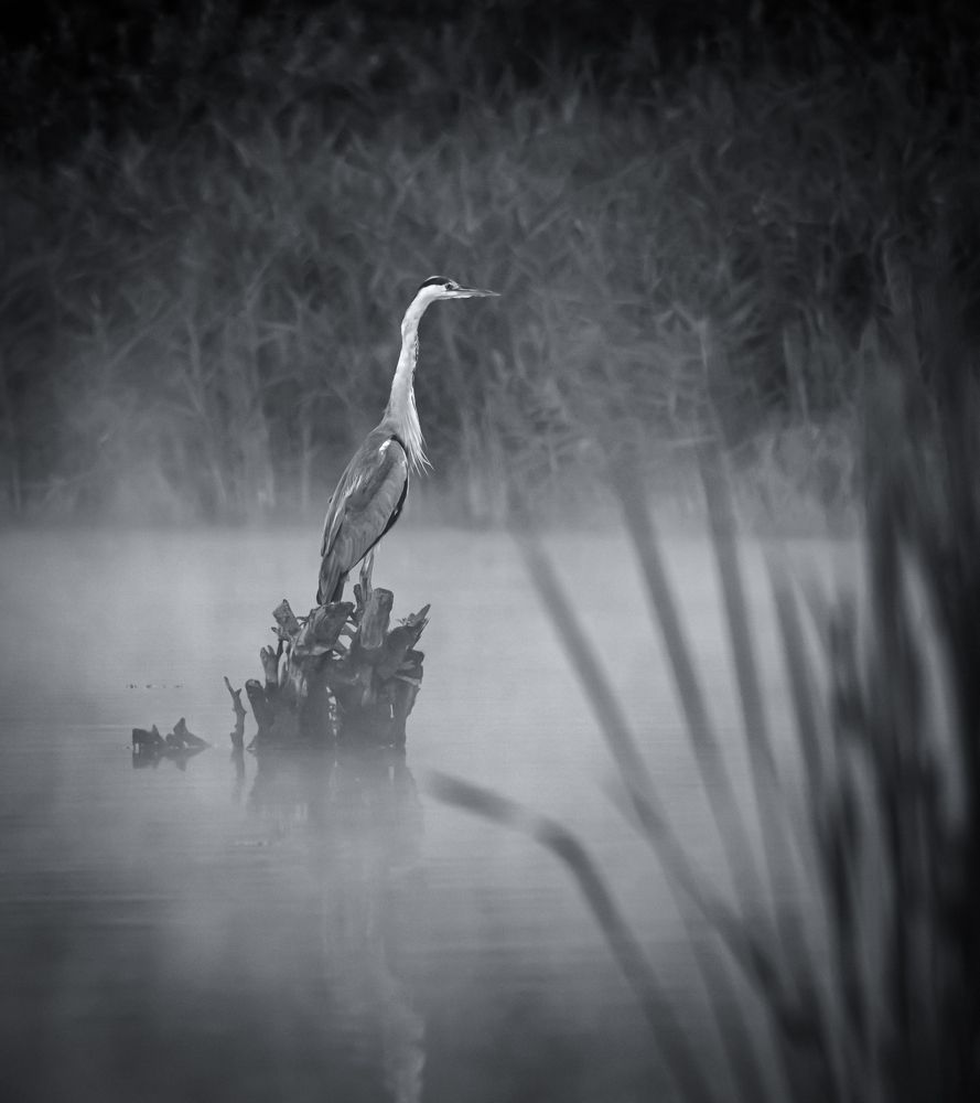 Фотография автора Александр Рудный
