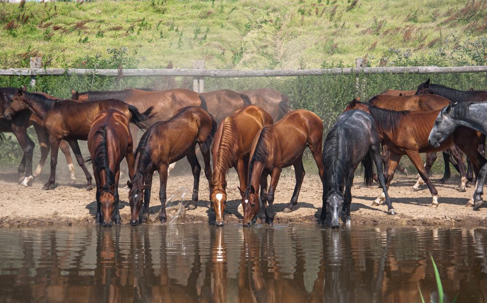 Photograph by Диана Бородзе