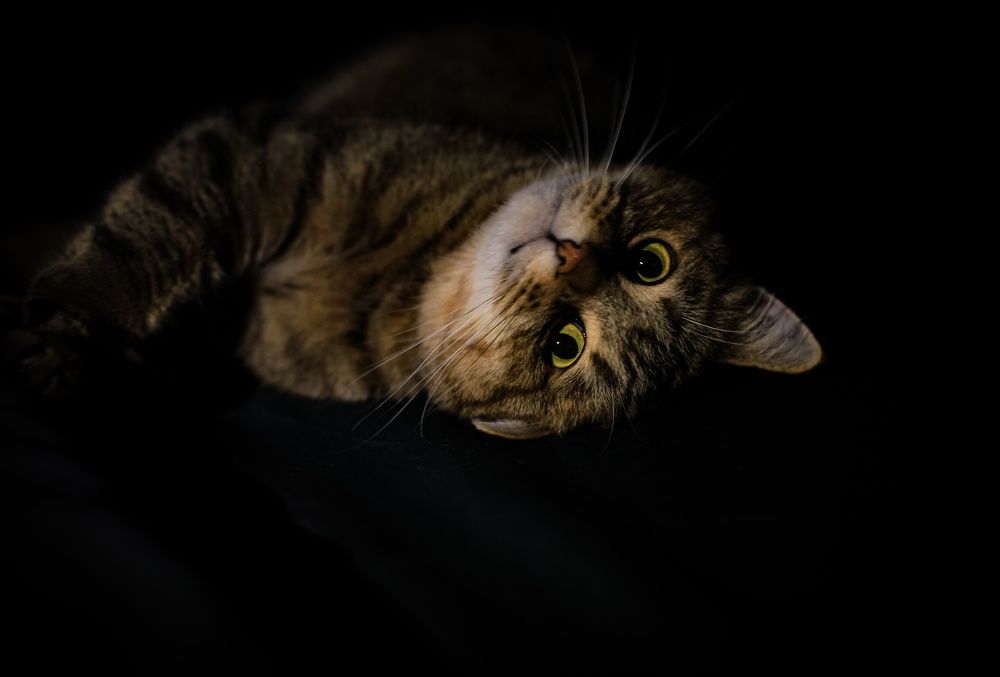 Photograph by Наталья Рябоконенко