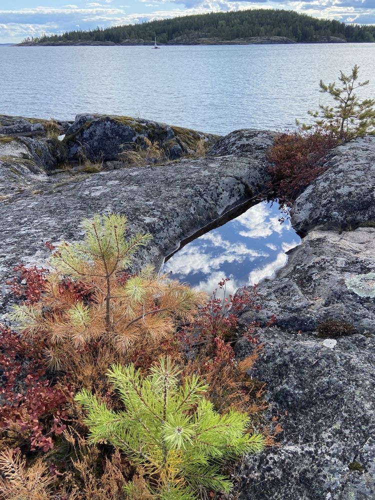 Photograph by Екатерина Долгова