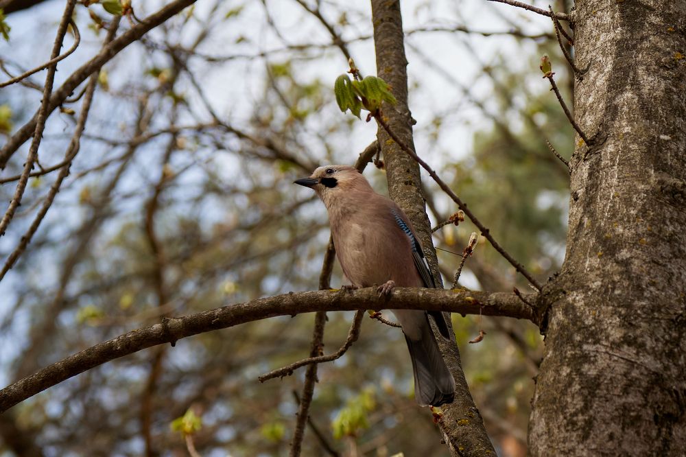 Photograph by Алексей Ольшевский