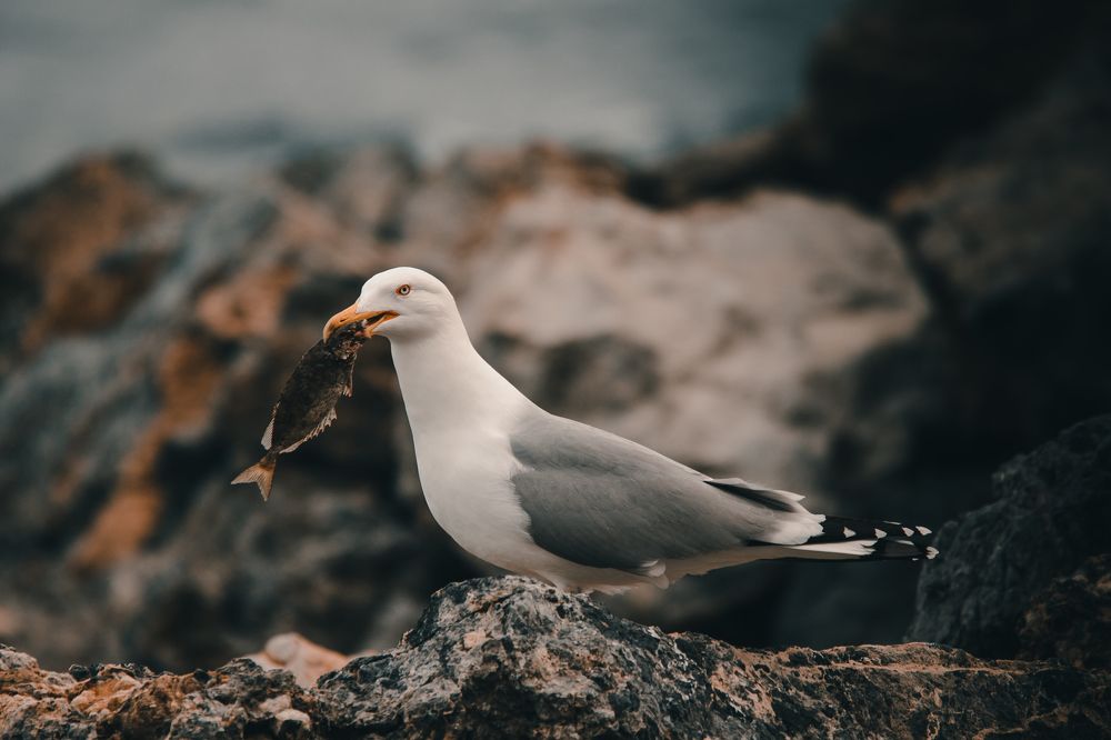 Photograph by Alexey Nikitin