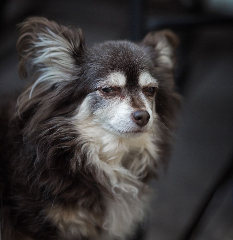 Photograph by Владимир Архипов