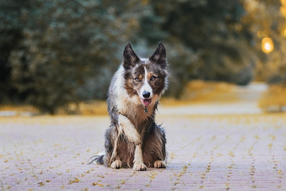 Photograph by Волгина Елена