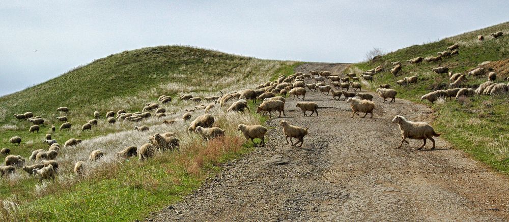 Photograph by Валерий