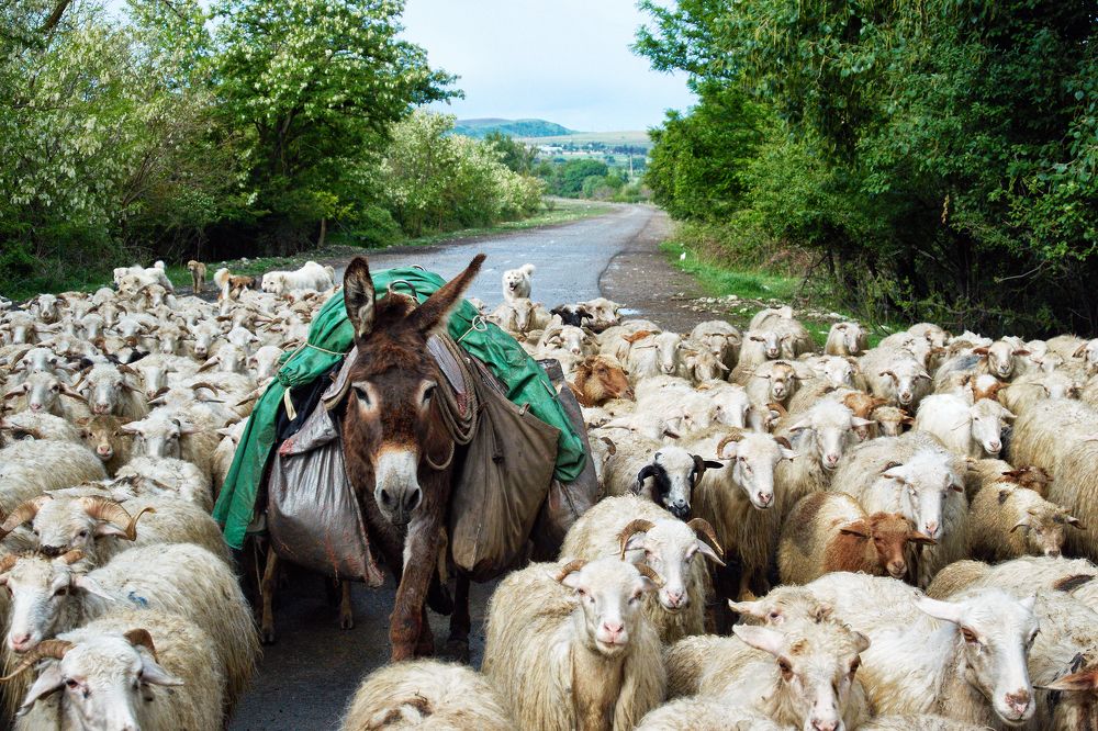 Photograph by Валерий