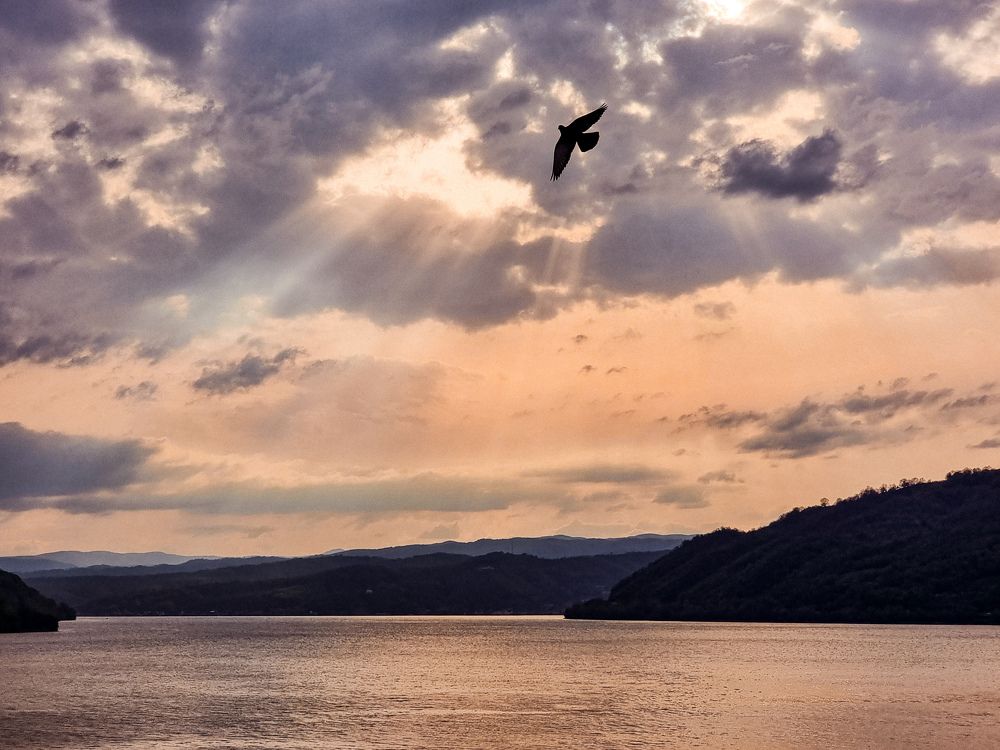 Photograph by Ania Ciolacu