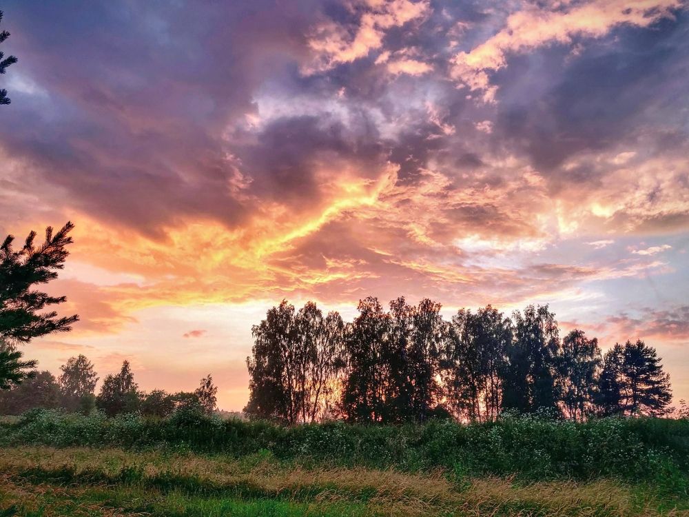 Photograph by Екатерина Воробьева