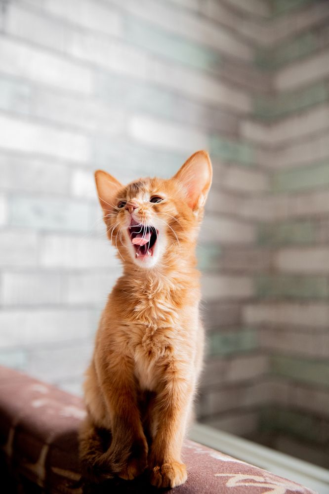 Photograph by Ольга Станкова