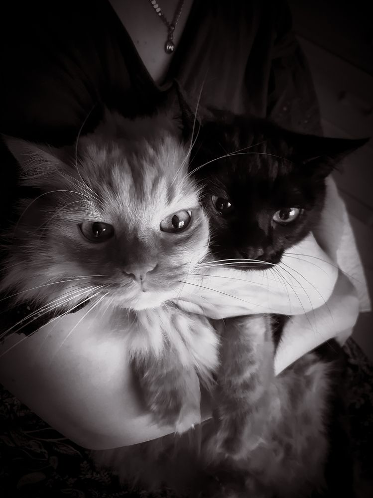 Photograph by Александра Кропивка