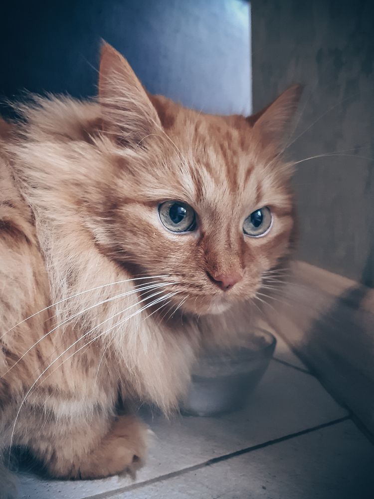 Photograph by Александра Кропивка