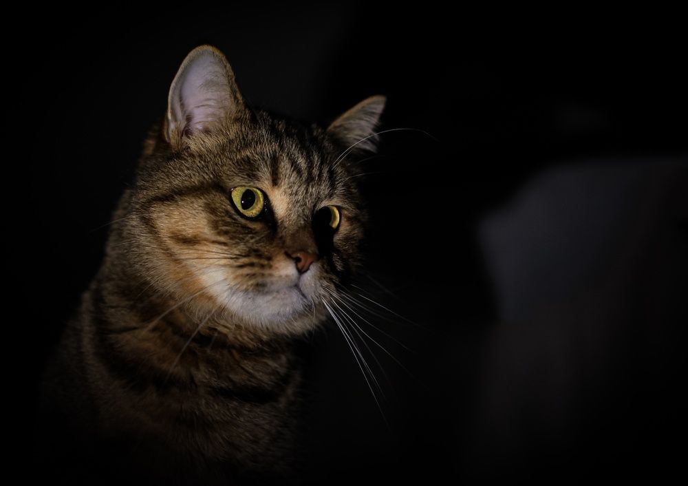 Photograph by Наталья Рябоконенко