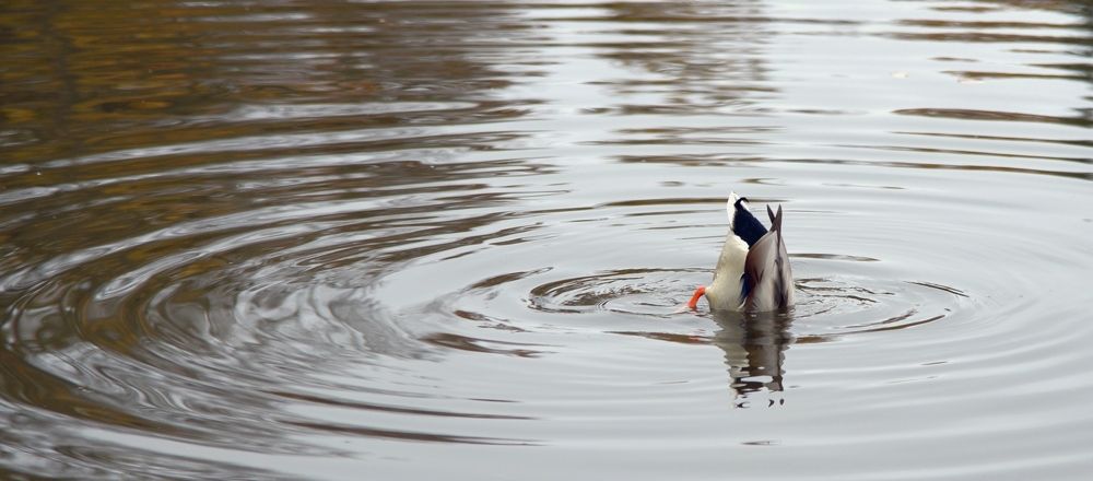 Photograph by Вадим Святышев