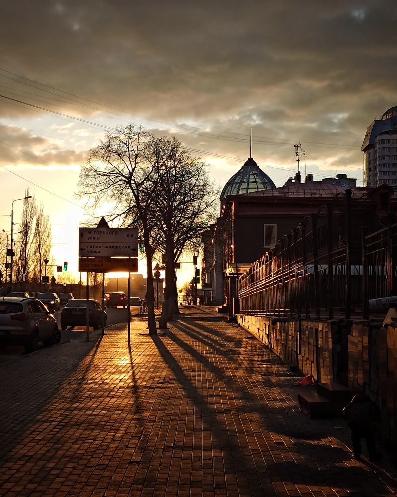 Photograph by Elena Bogomolova