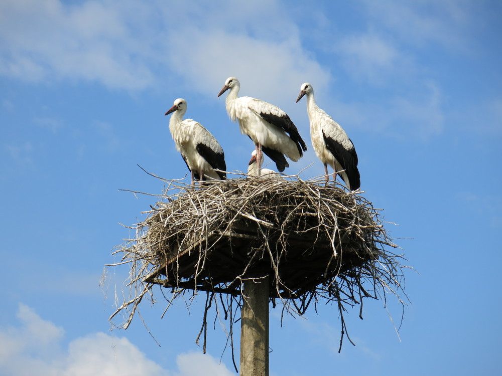 Photograph by ЭЛЬМИРА  ИСМАИЛОВА