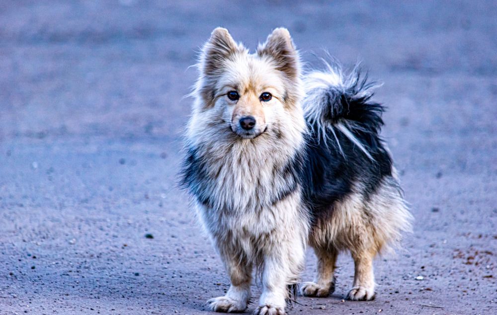 Photograph by Игорь Скорняков