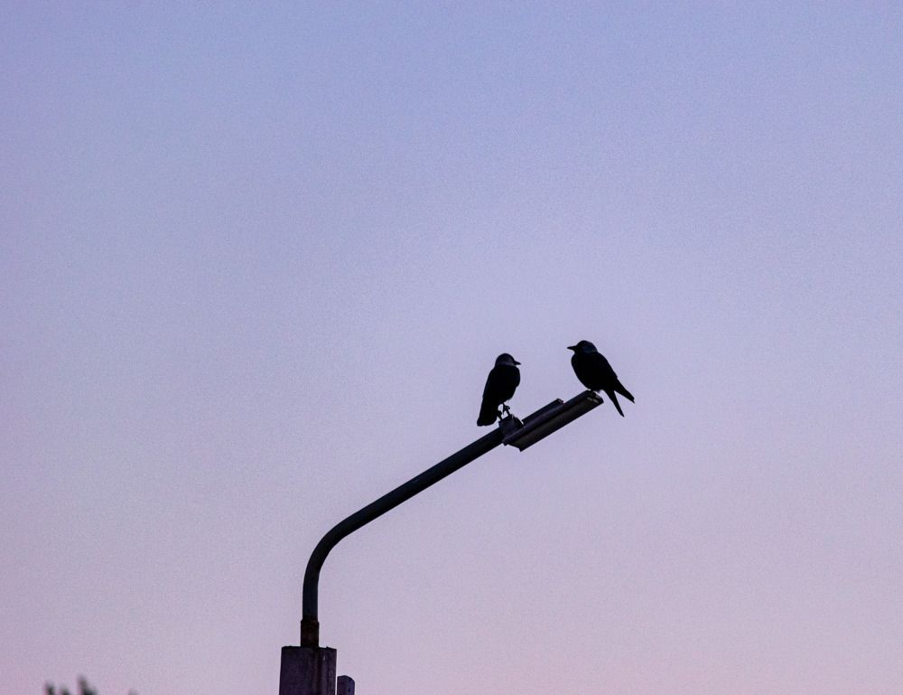 Photograph by Игорь Скорняков