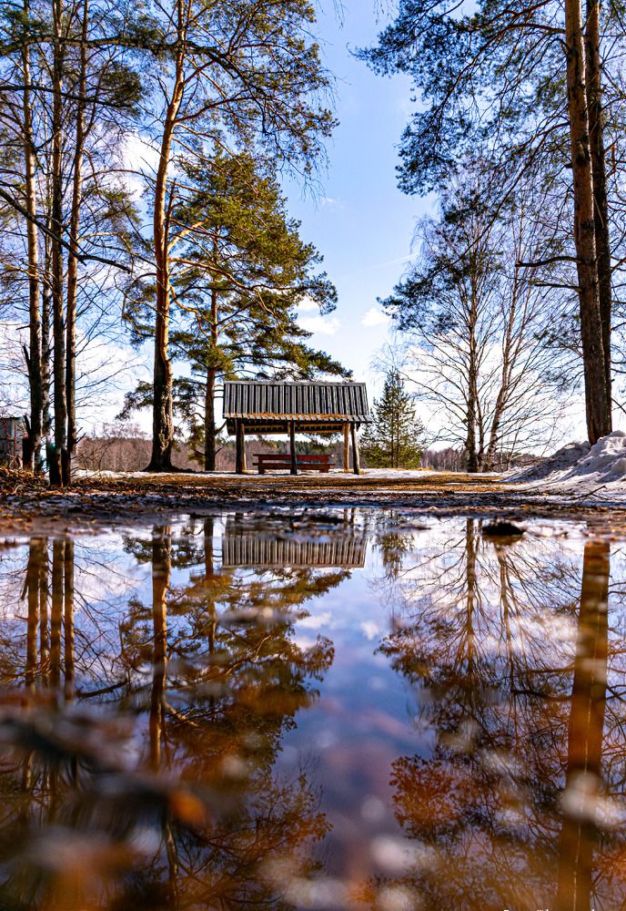 Photograph by Игорь Скорняков