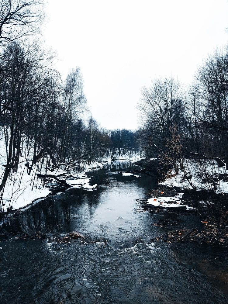 Photograph by Тимофей Стрельцов