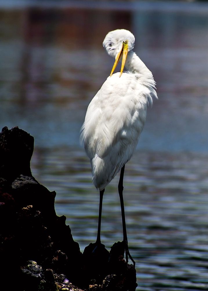 Photograph by RehanaAlpha