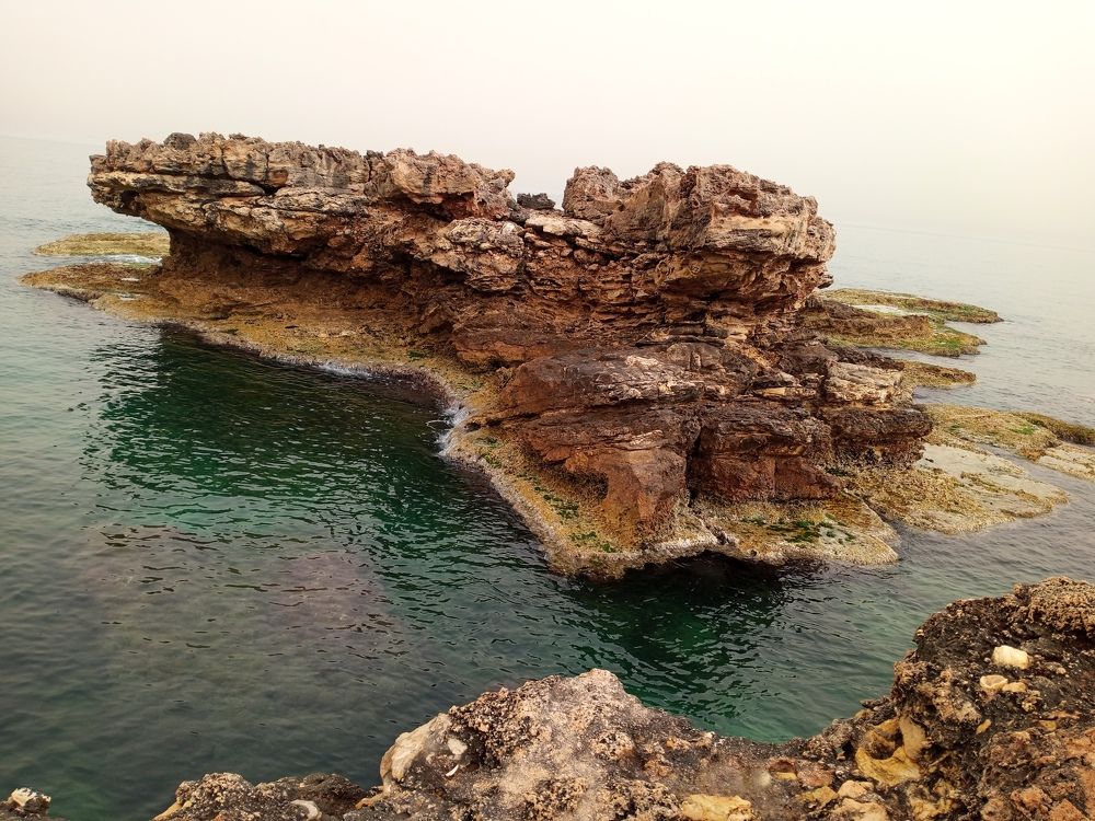 Photograph by Layal Farah