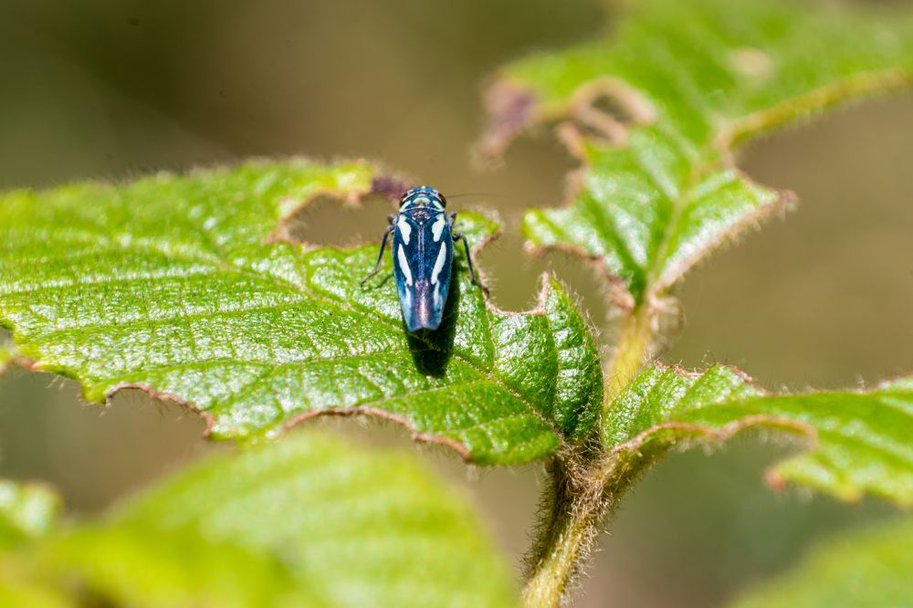 Фотография автора Jose Marcos Carvajal Tarazona