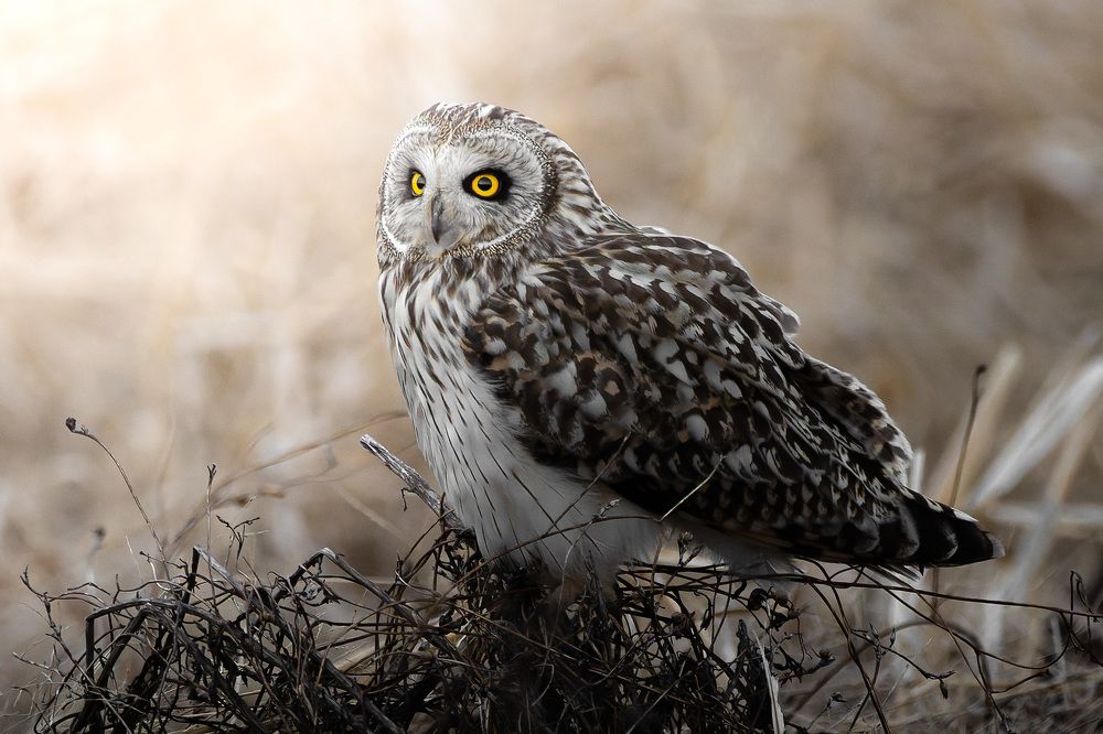 Photograph by Matsubara Hiroki