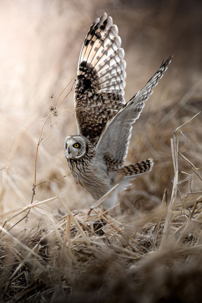 Photograph by Matsubara Hiroki