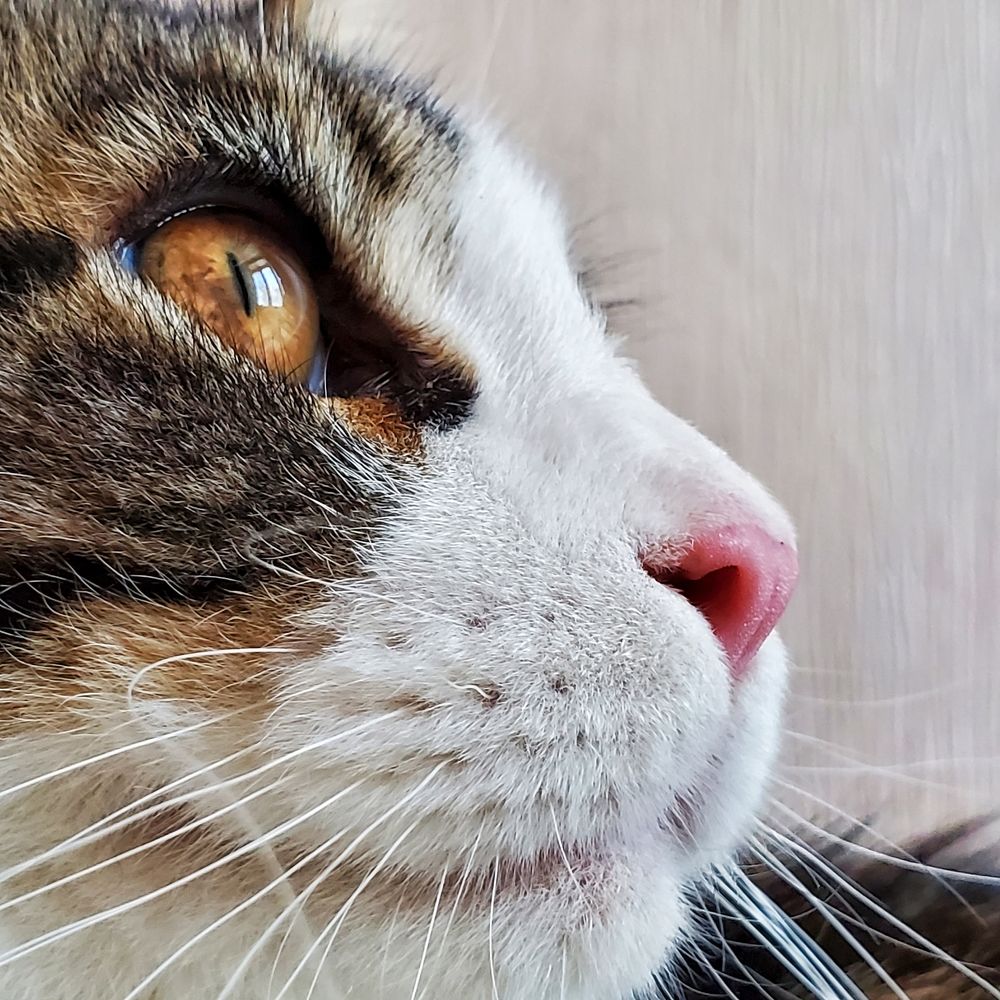 Photograph by Евгения Алексеева