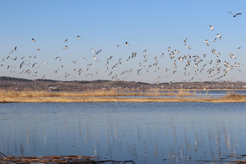 Photograph by Марина Савченко