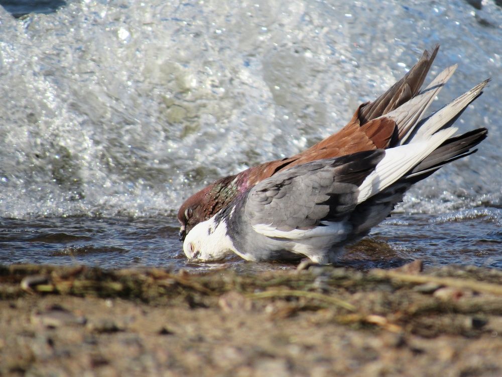 Photograph by Марина Савченко