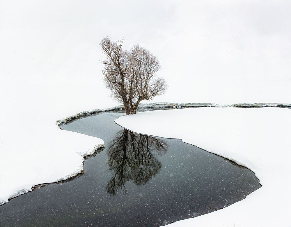 Photograph by aliasadi