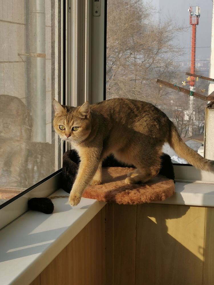 Photograph by Мария Маханько