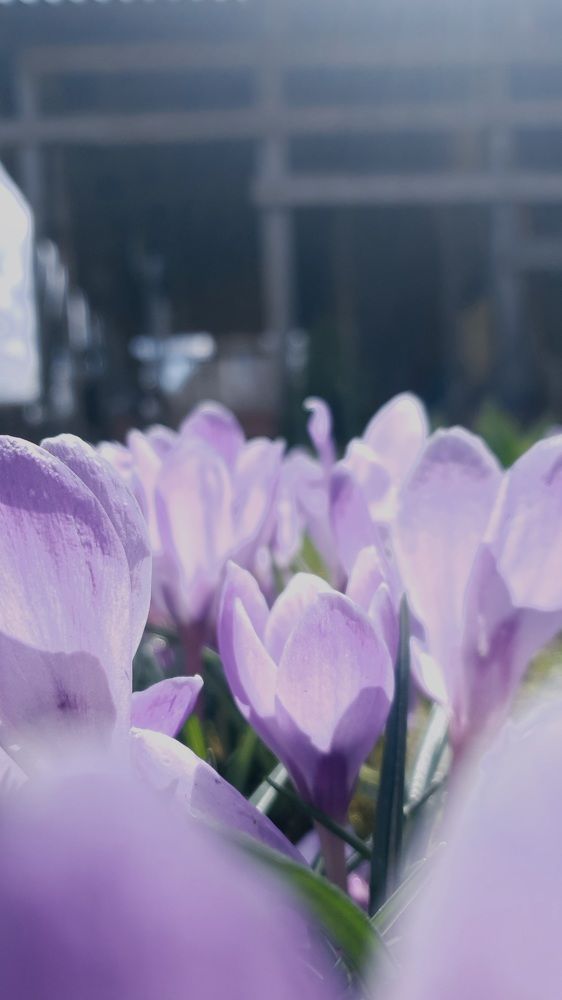 Photograph by Сергей Баранов