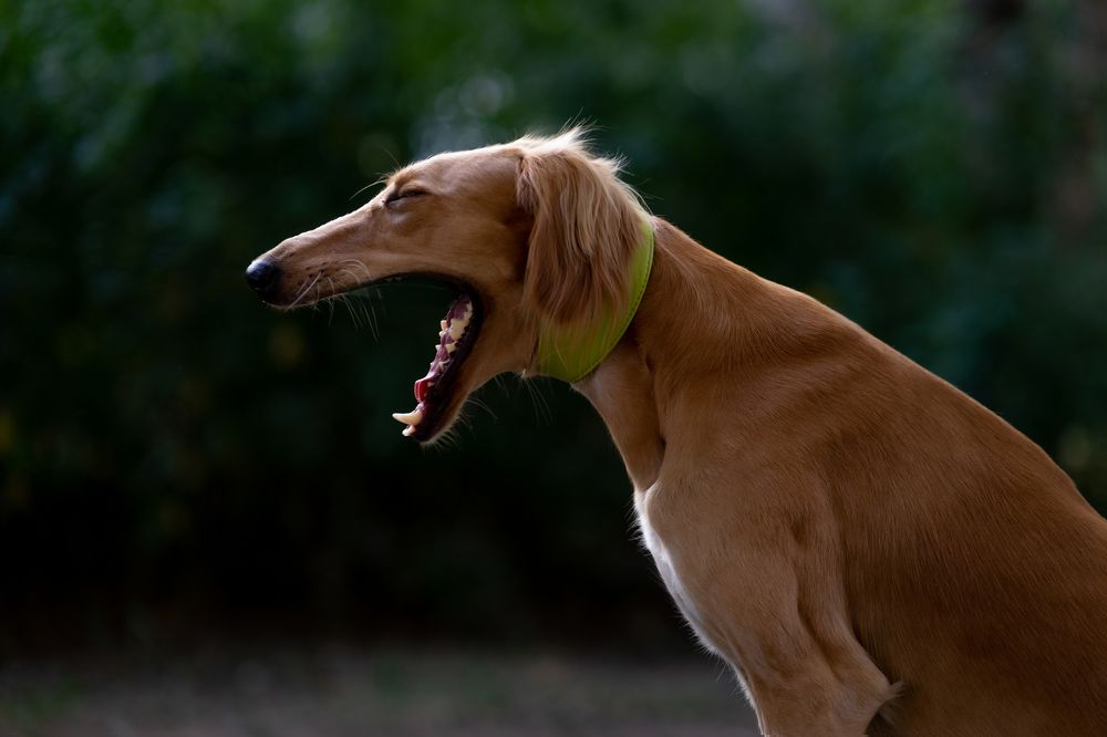 Photograph by Екатерина Семенова