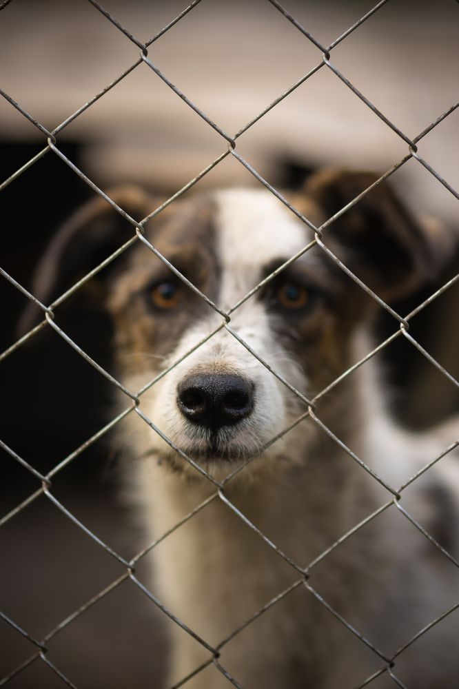 Photograph by Екатерина Семенова