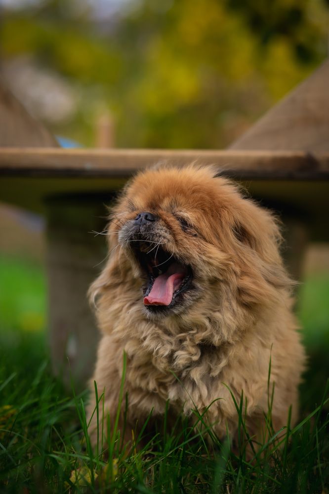 Photograph by Екатерина Семенова