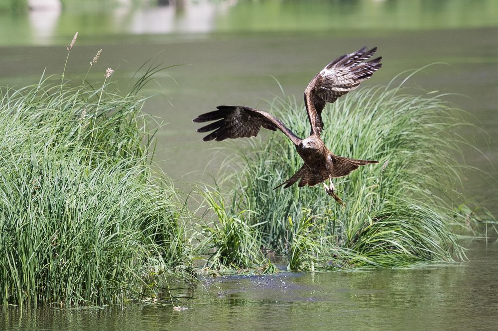 Photograph by Вадим Гайсин