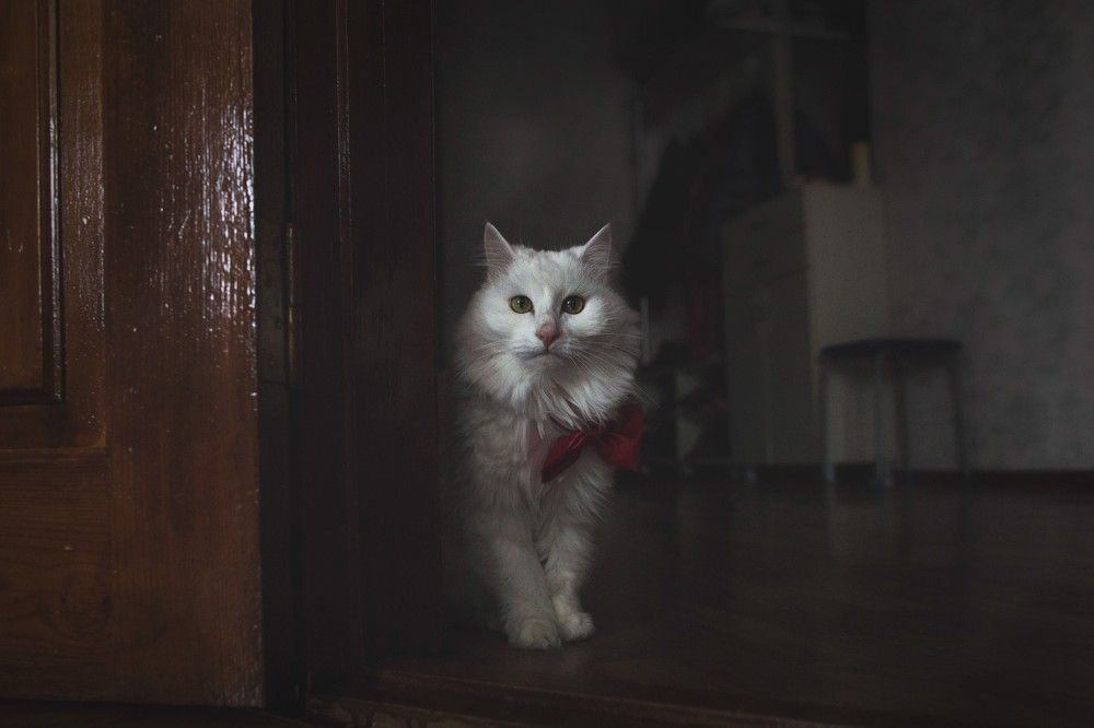 Photograph by Вадим Гайсин