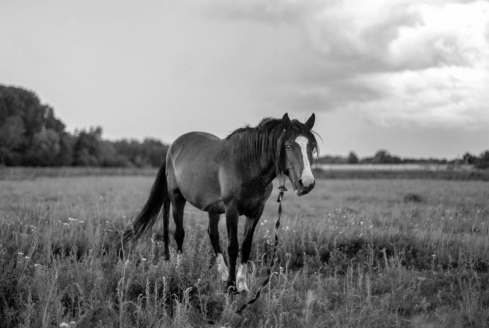 Photograph by Вадим Гайсин