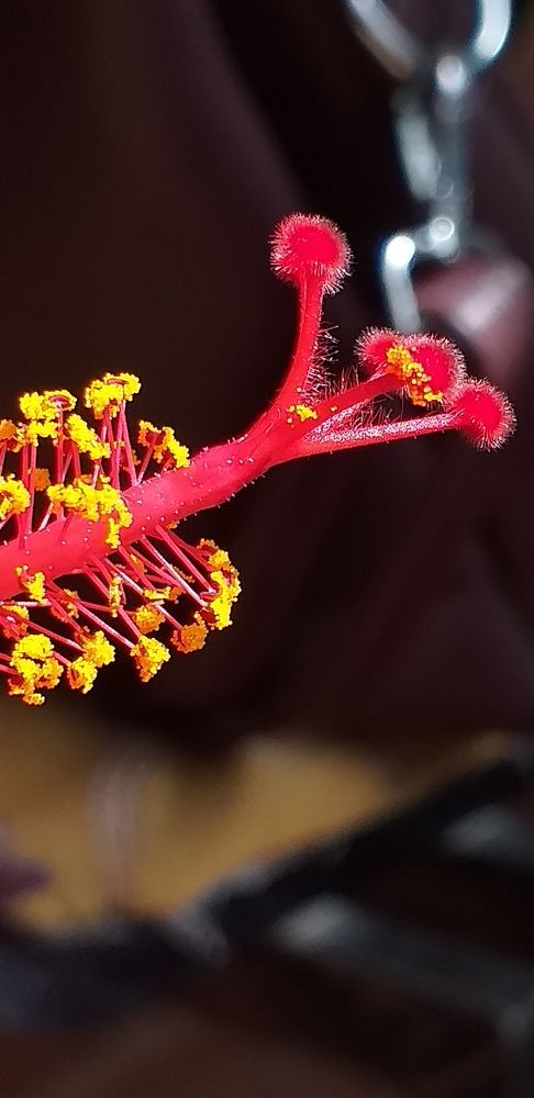 Photograph by Orzigul Babaniyozova