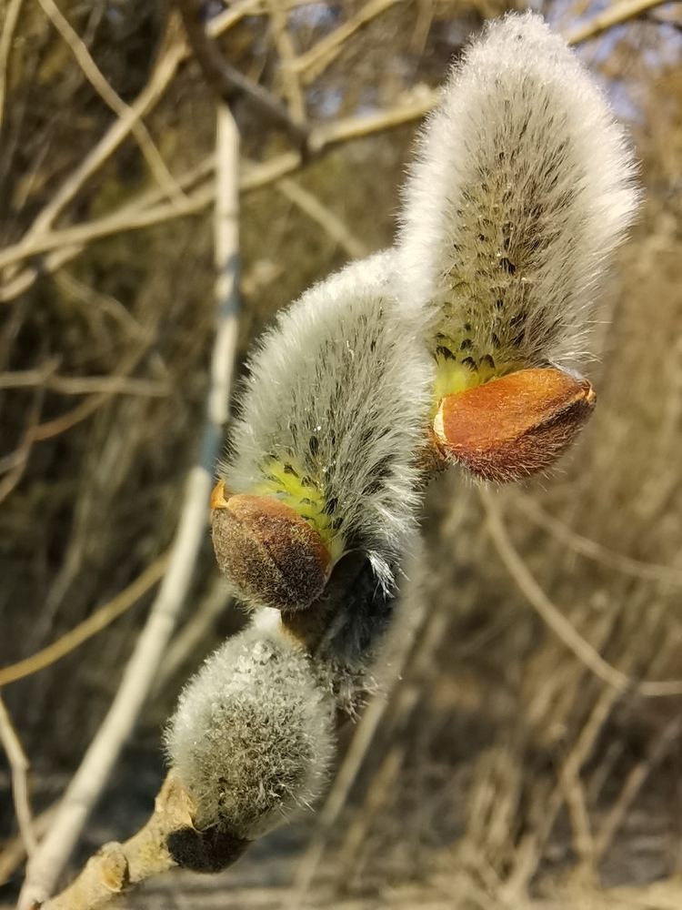 Photograph by Наталья Круглова