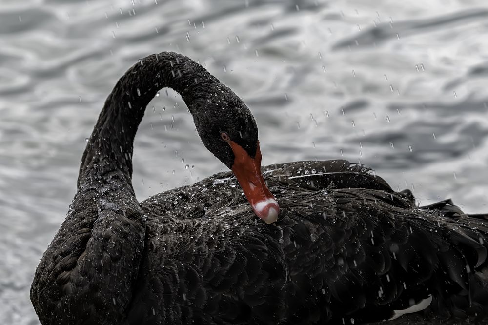 Photograph by Ирина Ульянова