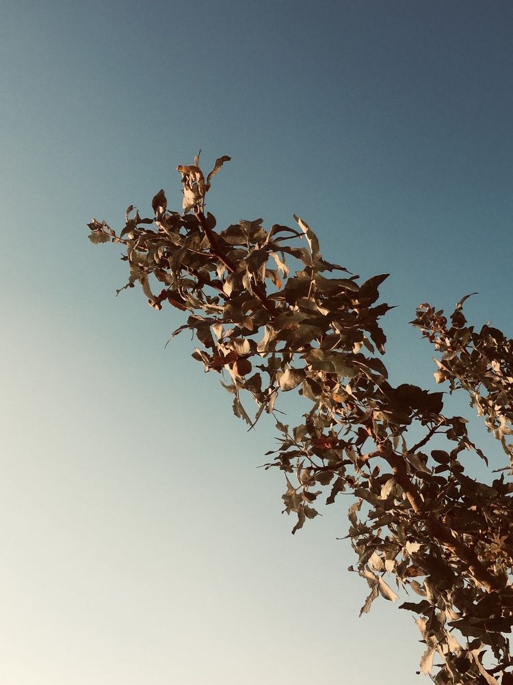 Photograph by Sahand Salmanian