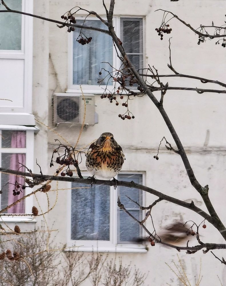 Photograph by Олика