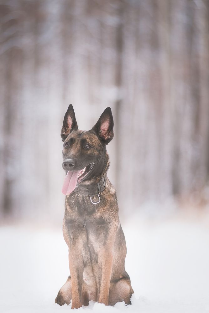 Photograph by Станислав Новокрещенов