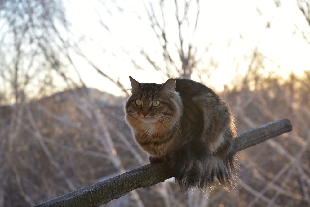 Photograph by Александр Староверов