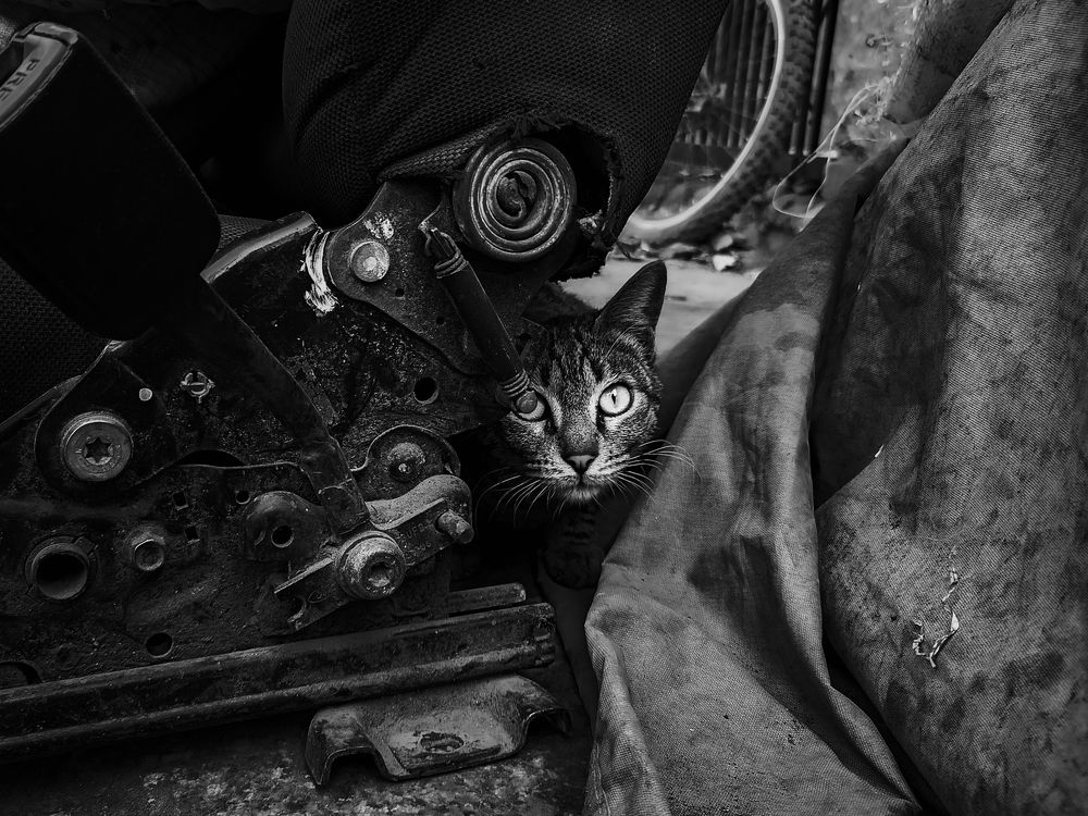 Photograph by Aman Mishra