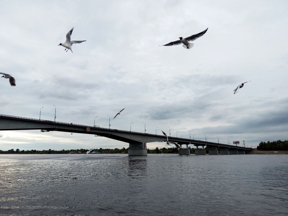 Photograph by Ирина Ри