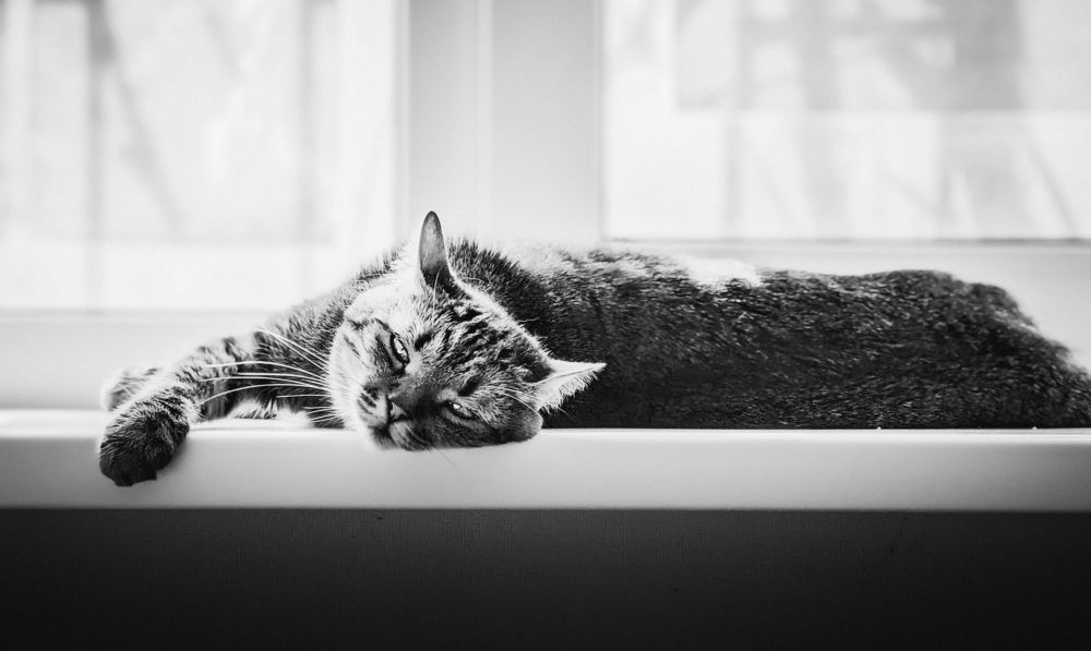 Photograph by Максим Симанчук